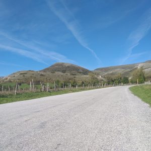 Reparaciones Mediante Doble Tratamiento Superficial en Red Carreteras Autonómicas de Cantabria
